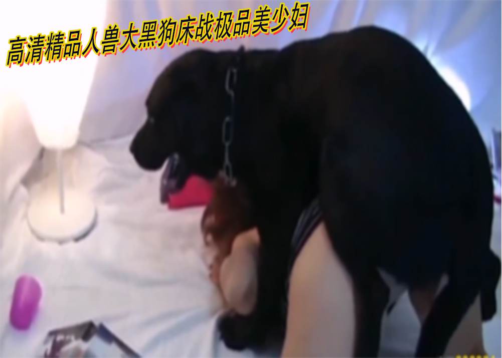 高清精品人兽大黑狗床战极品美少妇 海报