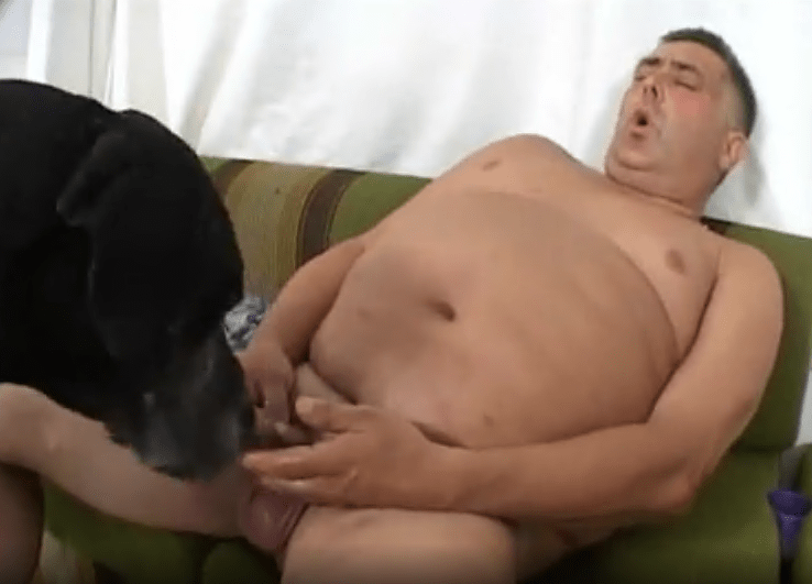 老家伙在摄像头上打飞机并与他的狗分享ZOOPHILIA 海报