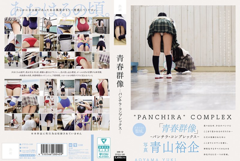 青春群像剧：少女内裤走光情结诱惑！PFES100 海报