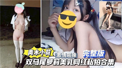 青木小荷双马尾萝莉美乳网红私拍合集 海报