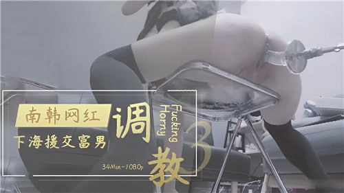 南韩网红下海援交富男调教 海报
