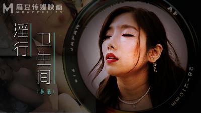 MDWP0022 林襄公厕隔间野战泄欲！饥渴少妇厕所偷情实录 海报