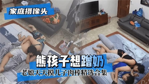 家庭摄像头熊孩子想蹭奶 海报