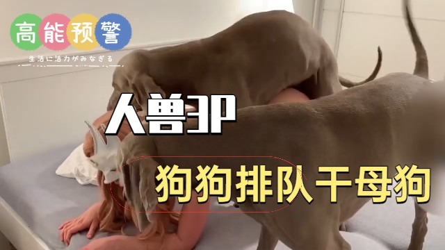 人兽3P狗狗排队干母狗 海报