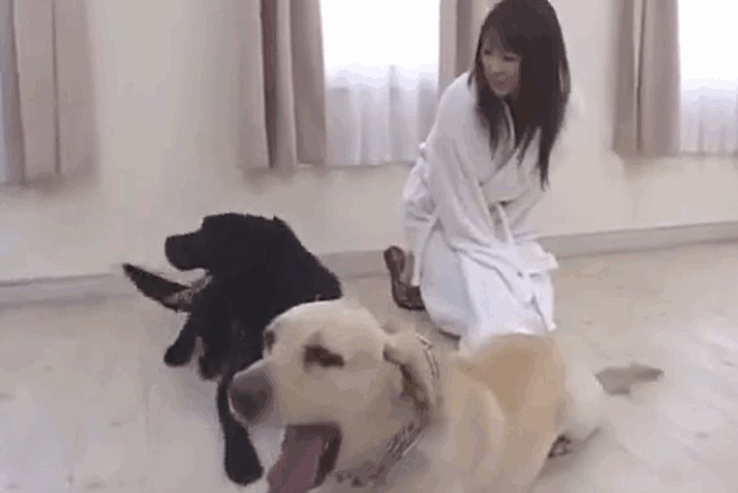 日本美女了解硬核兽交 海报