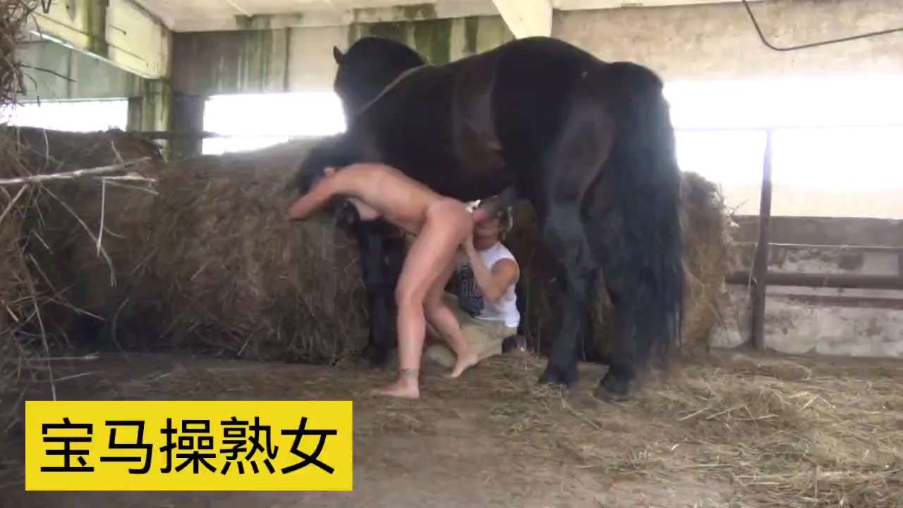 宝马操熟女 海报