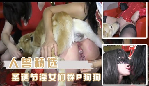 人兽精选圣诞节淫女们群P狗狗 海报