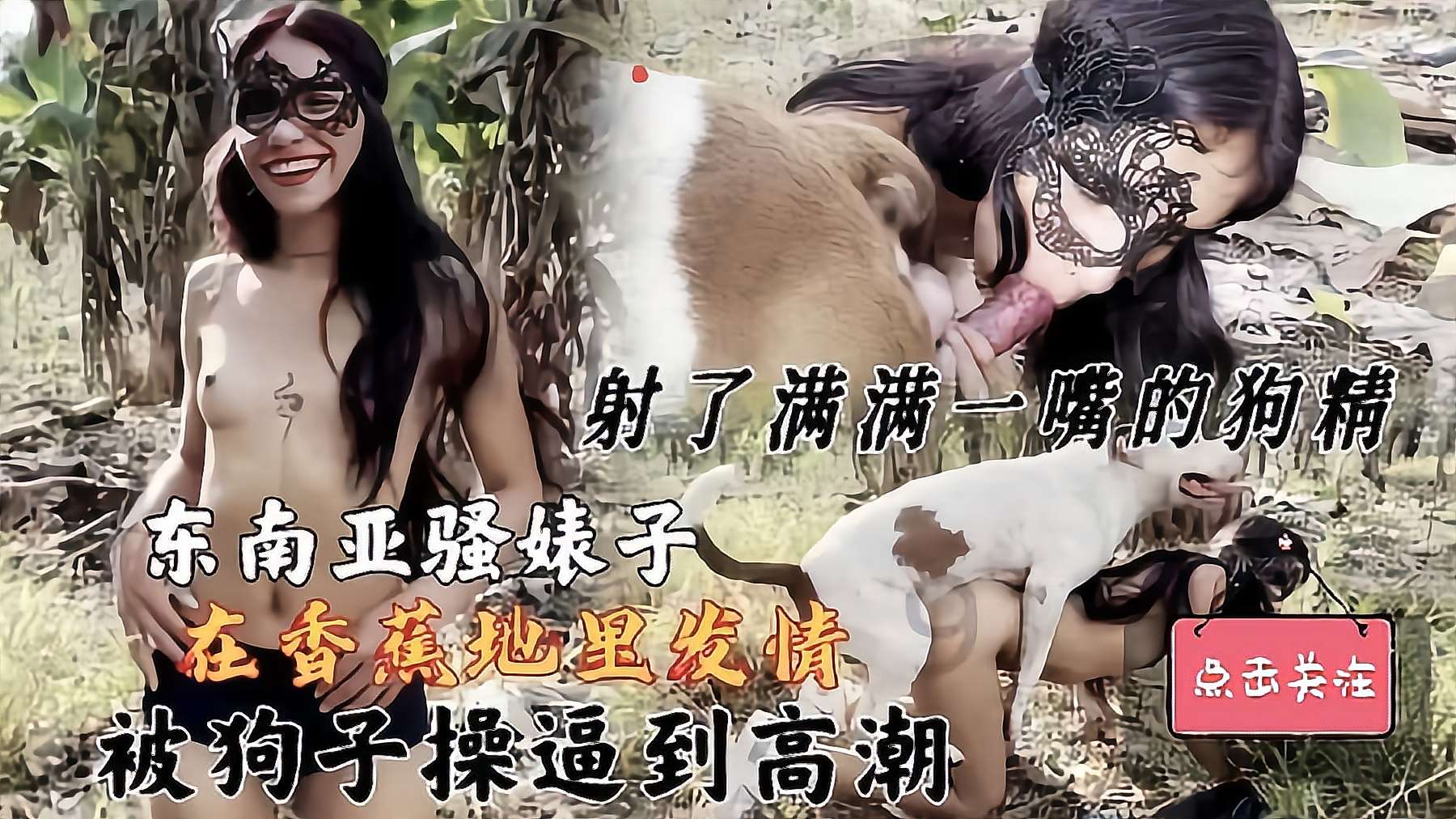 【人狗乱伦】东南亚骚婊子在香蕉地里发情被狗子操到到高潮射了满满一嘴的狗精 海报