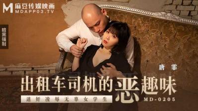 MD0205出租车司机的恶趣味唐霏 海报