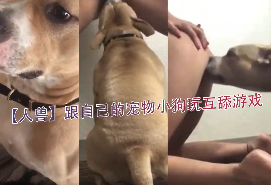 【人兽】跟自己的宠物小狗玩互舔游戏 海报
