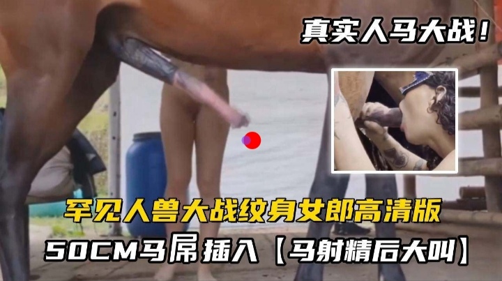 人马情未了无套内射 海报