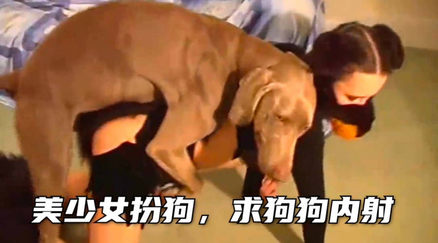 【欧美人兽】妙龄少女扮小狗供狗狗发泄求操内射 海报