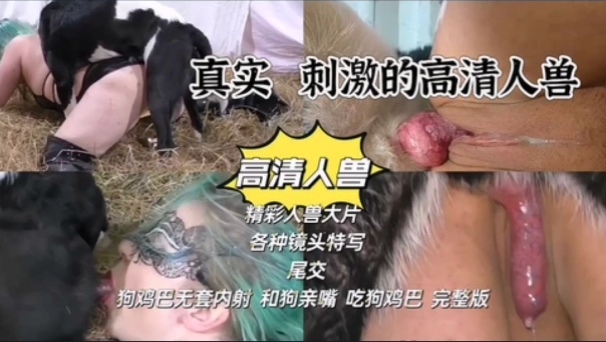 真实刺激高清人兽无套内射和狗亲嘴吃狗鸡巴 海报