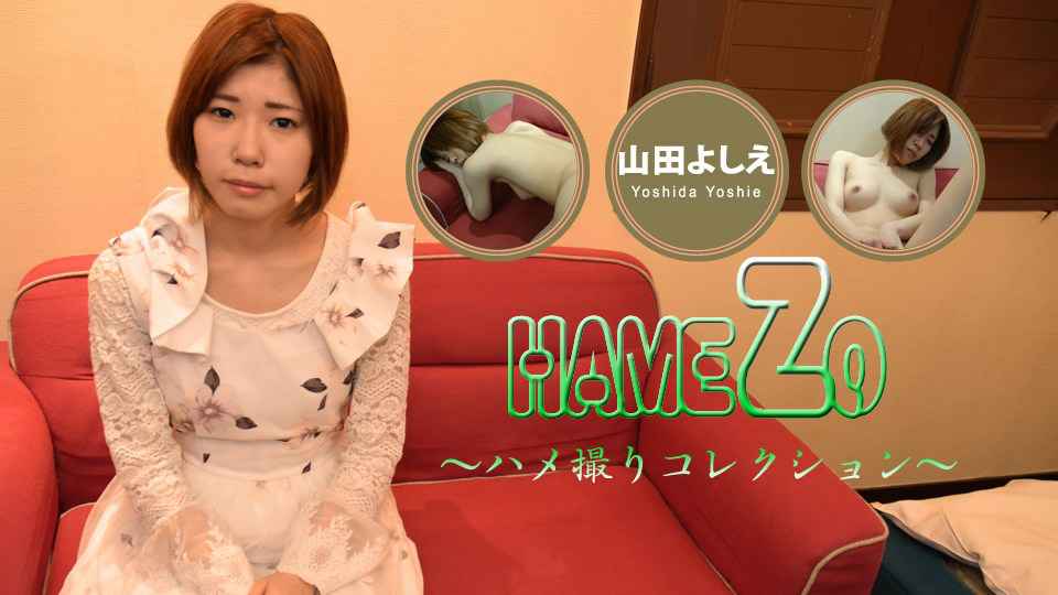 Heydouga -PPV 山田よしえ – 山田よしえ HAMEZO〜ハメ撮りコレクション〜 海报