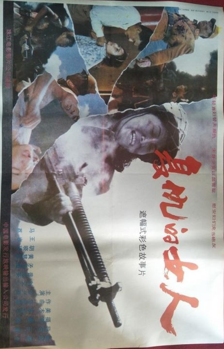 复仇的女人 海报