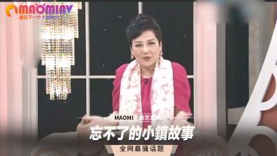 忘不了的小镇故事 海报