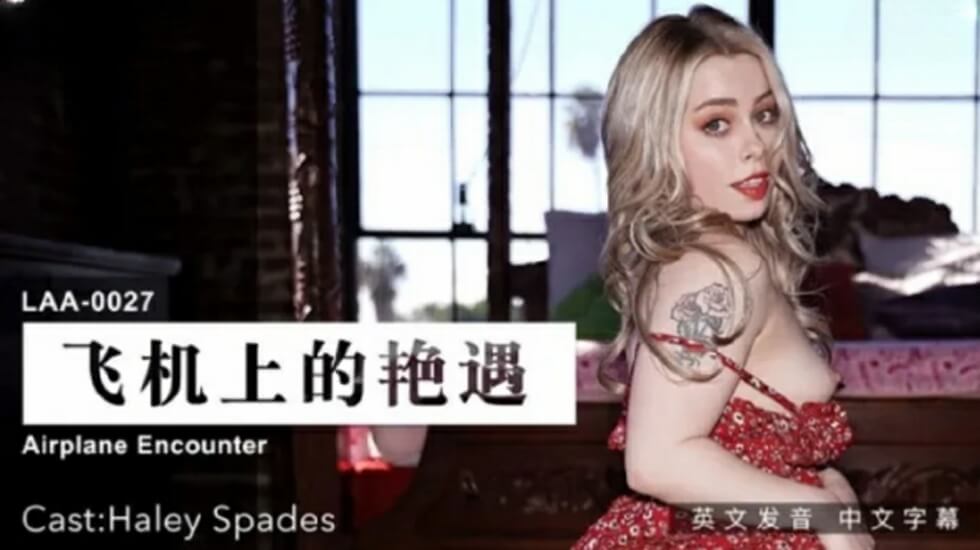 飞机上的艳遇：万米高空厕所激情，陌生美女跪求抽插！ 海报