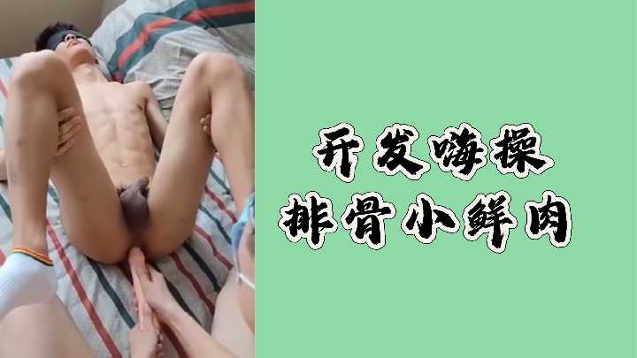 排骨小鲜肉开发日记，嗨操狂抽高潮喷涌！ 海报