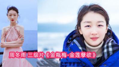 明星淫梦明星换脸周冬雨金瓶梅金莲孽欲. 海报
