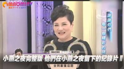 小燕之夜完整版 他们在小燕之夜留下的纪录片Ⅱ 海报