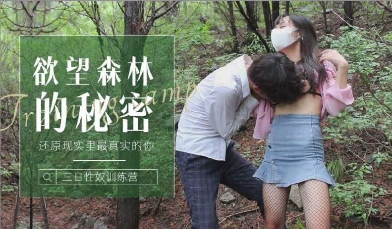 森林的秘密-还原现实里最真实的你 海报