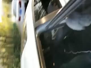 高颜值妹子车震口交 海报