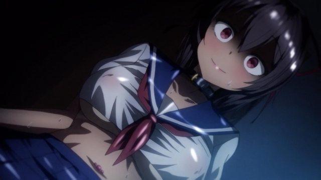 OVAネトカノ 海报